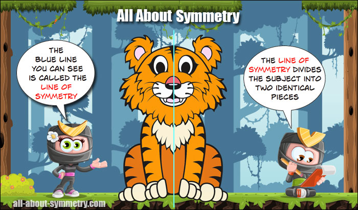 What is Line Symmetry?