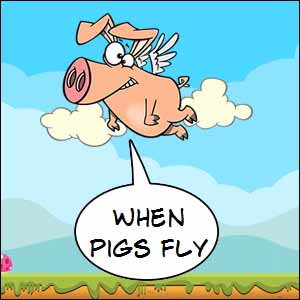 What Does When Pigs Fly Mean?